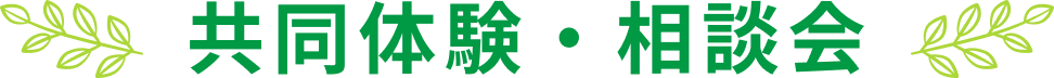 共同体験・相談会